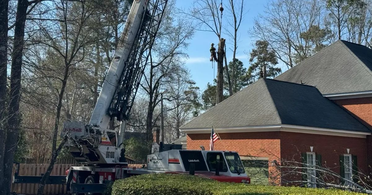 Dixon Trees crew performing a crane-assisted tree removal on a residential property in Lexington, SC