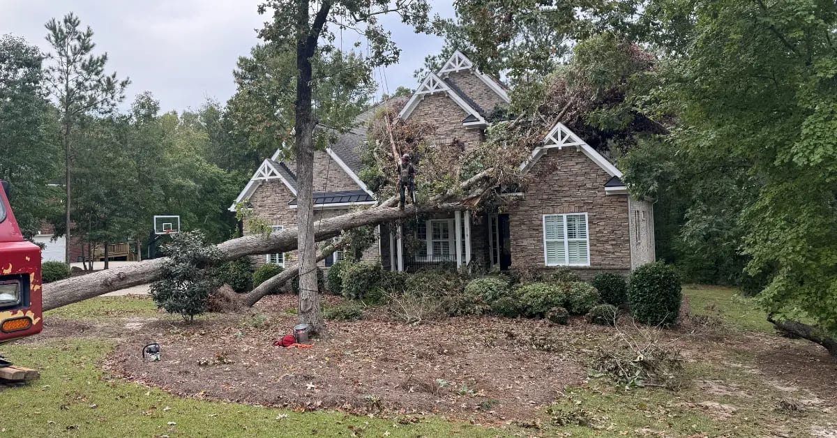 tree service in st andrews sc