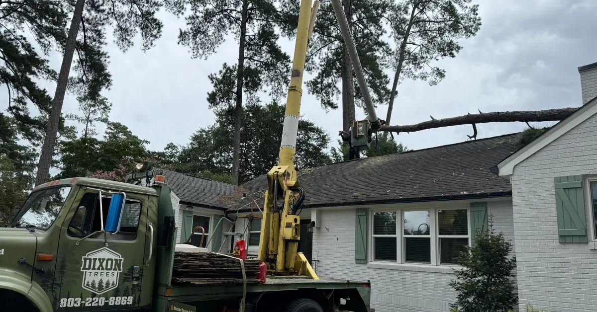 tree service in Gilbert SC