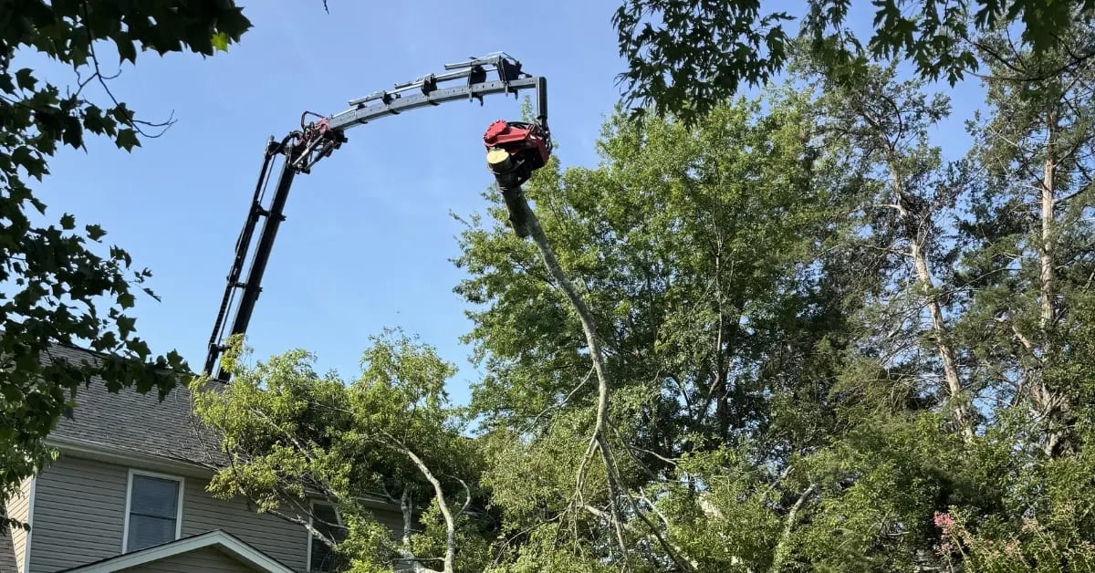 tree service leesville sc