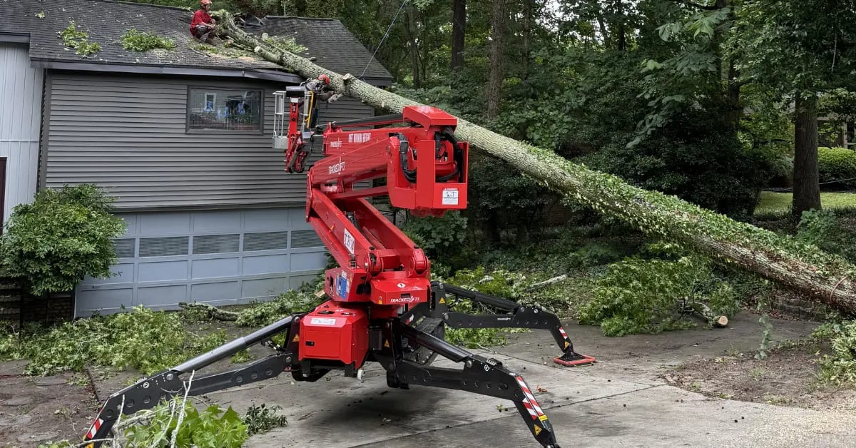 tree service in springdale sc