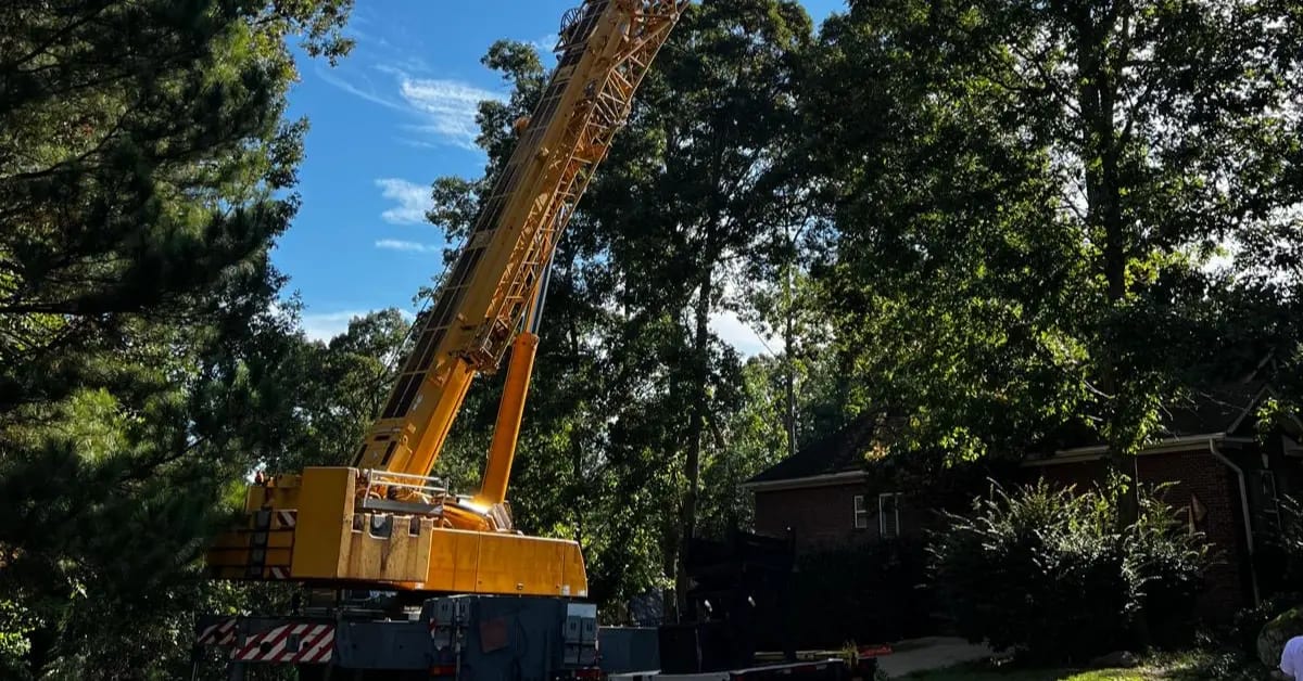 tree service in Columbia SC