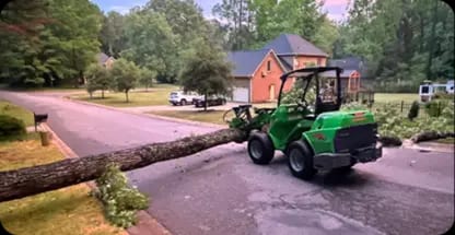 24/7 Emergency Tree Service