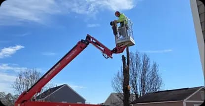Tree Pruning