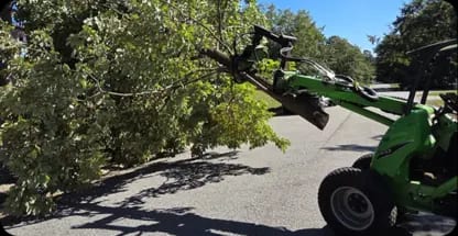 Lot Clearing